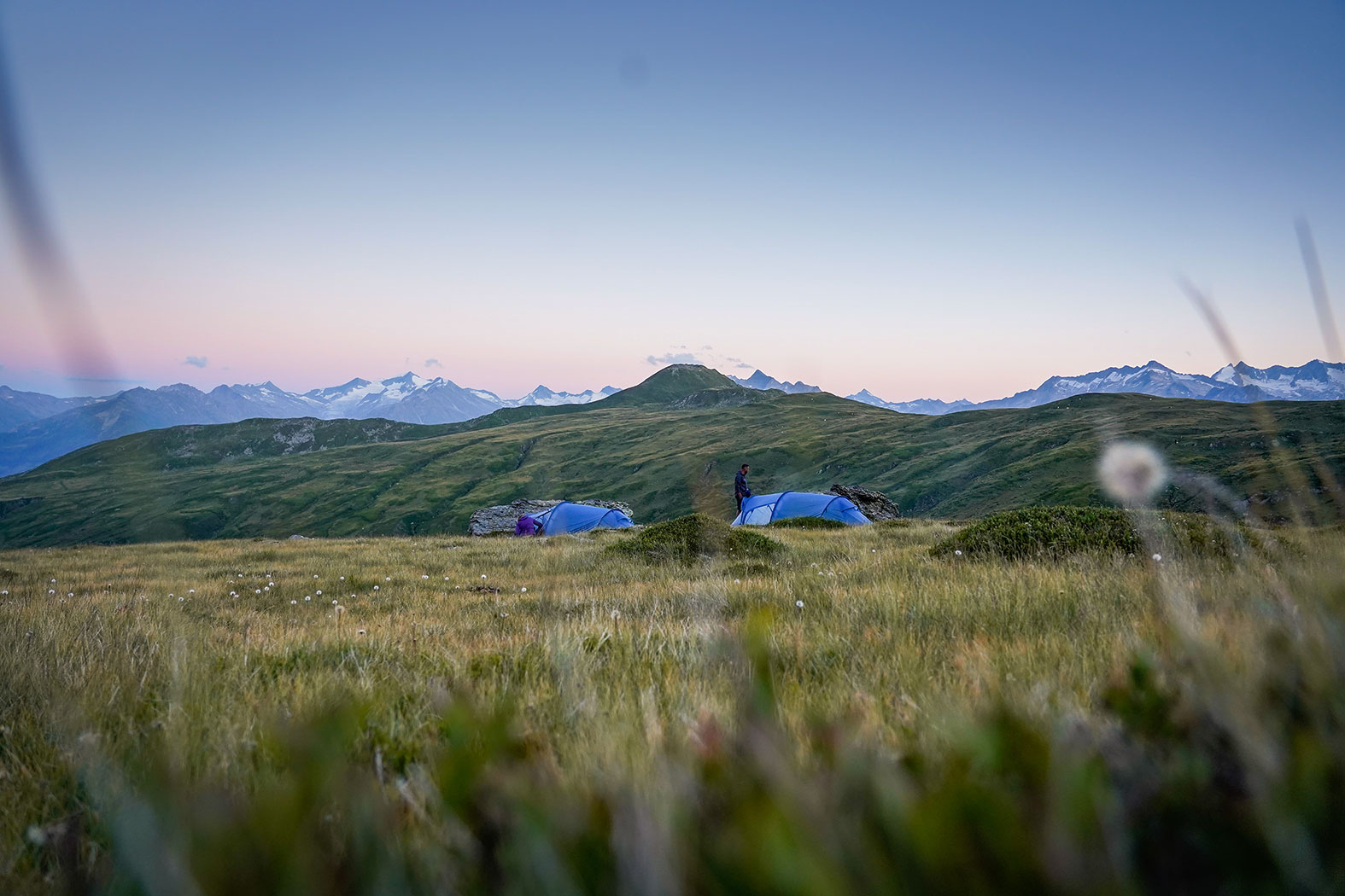 Ole Zimmer - Journalismus und Kommunikation
